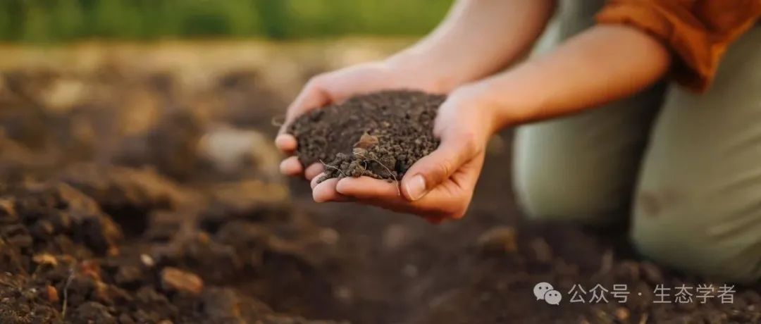华中农业大学土壤微生物生态与环境健康课题组在Nature Communications发文！