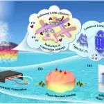 新疆大学刘雄团队 Nano Energy/Small/CEJ：水凝胶材料在太阳能界面蒸发领域的研究
