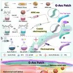 东南大学张天柱教授团队《ACS Nano》：封装脂肪干细胞外泌体补片用于调节炎症和促进组织再生