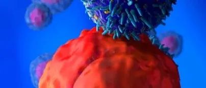 美国血液学会新刊发布！Blood Immunology & Cellular Therapy邀您提交下一篇卓越研究成果