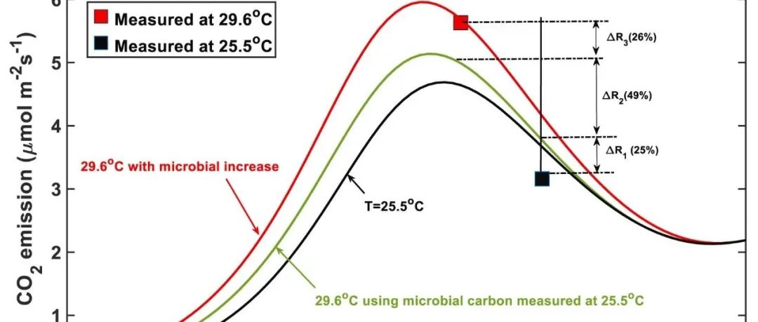 土壤呼吸模型研究丨SOIL BIOL BIOCHEM：土壤样品大小和物理特性对土壤呼吸的水分和温度响应实验研究很重要