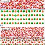 盐湖中盐晶体-卤水界面相互作用及结构分子动力学研究