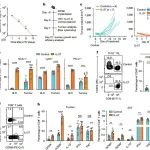Nature丨IL-27诱导细胞毒性CD8+ T细胞程序以实现肿瘤控制