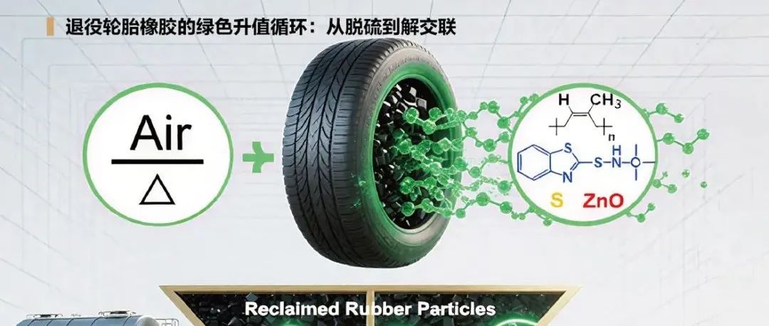 高分子通报封面报道｜退役轮胎橡胶的绿色升值循环：从脱硫到解交联