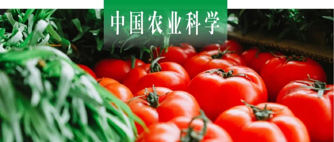 中国农业科学｜中国农科院蔬菜花卉所高建昌课题组基于跨物种转录组解析影响不定根发生的保守基因