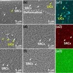 中国科学技术大学《Acta Materialia》双梯度结构通过抑制应变局部化来提高航空发动机轴承钢的耐磨性