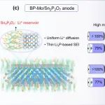 Sn2p2o7 Materials Today:可在低温下快速充电的高容量黑磷基负极 - Book学术