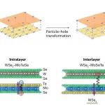 研究进展：范德华层状材料-超晶格 激子凝聚 | Nature Reviews Physics