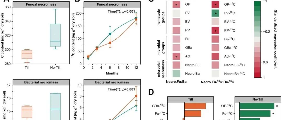 土壤线虫研究丨GLOBAL CHANGE BIOL：土壤食物网中的级联效应扩大了真菌生物量和微生物残体的产生