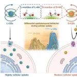 渠凤丽/赵岩Analytical Chemistry：揭示手性量子点在细胞内吞进程中的时空表现