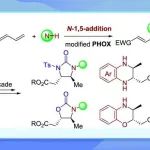 【ACS Catal.】上海有机所何智涛课题组：不对称氮杂1,5-加成及其串联反应