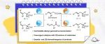 【JACS】上海交大张万斌团队/复旦麻生明院士团队：双金属协同催化C=C双键的不对称双向Z/E异构化
