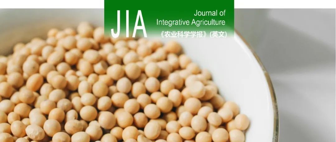 JIA｜中国农科院大豆高产优质育种创新研究组基于二代测序的混池分离分析鉴定控制大豆籽粒类胡萝卜素积累的基因组区间和候选基因