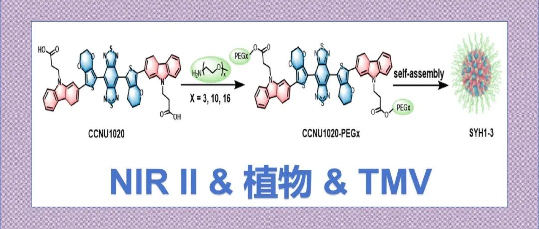 文献分享|尺寸调节的聚乙二醇化近红外二区荧光探针用于高对比度植物成像和TMV检测