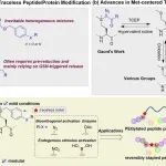 J. Am. Chem. Soc. | 基于C–S+键的可逆无痕Met修饰策略