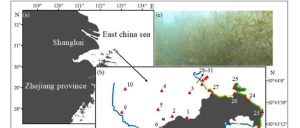 【文献精选】Ecological Indicators|潮下带海藻床及周围水体水质参数（TSM、Chl-a和CDOM）的遥感反演