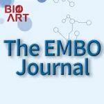 EMBO J丨汪方炜实验室揭示ATRX保护染色体稳定性的新机制