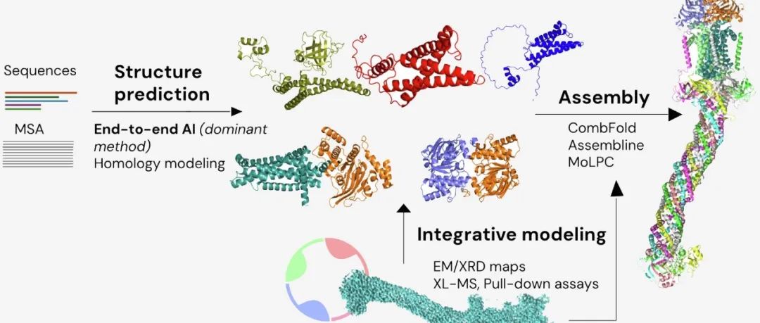 Drug Discov Today｜蛋白质相互作用建模的AI革命：现状、突破与未来图景