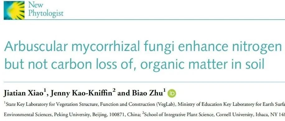 New Phytologist | 北大朱彪研究组：丛枝菌根真菌促进植物从有机质中的氮获取，但没有增加有机质的碳损失