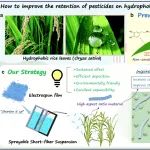 中国农科院植保所曹立冬研究员 Small：几何优化的可喷施短纤维载体用于高效农药递送