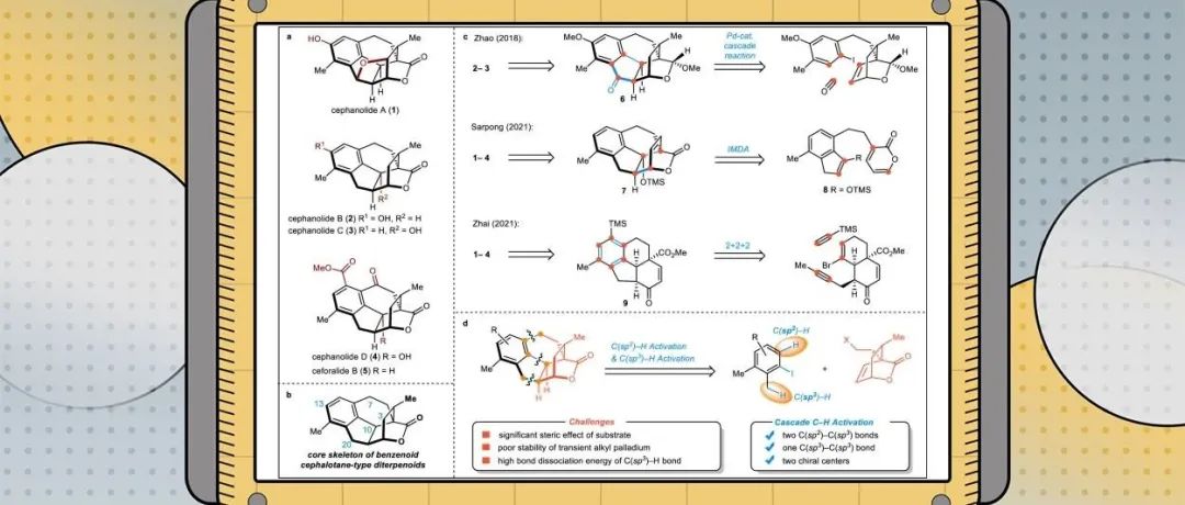 兰州大学谢志翔教授课题组：苯环型三尖杉二萜cephanolides A–D、ceforalide B的不对称全合成