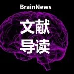 Research：景键/张果/朱景宁团队报道产后抑郁症关键神经环路机制