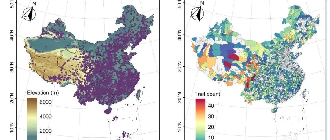 11万条数据！中国种子性状数据库（CSTD），武汉植物园宏观生态学组New Phytologist最新成果！