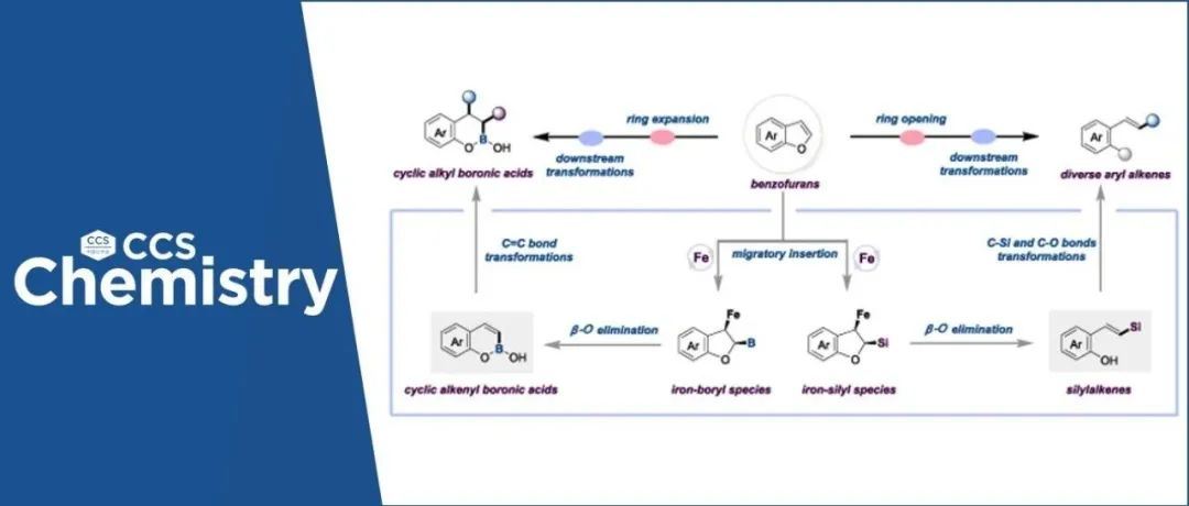 【CCS Chem.】重庆大学冯璋&南开大学彭谦：铁催化苯并呋喃的发散编辑反应
