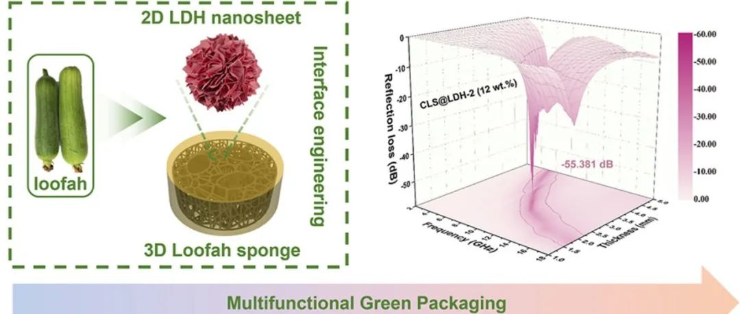 华中科技大学《Carbon》：以丝瓜络为原料制备碳复合材料，用于高功率密度电子封装