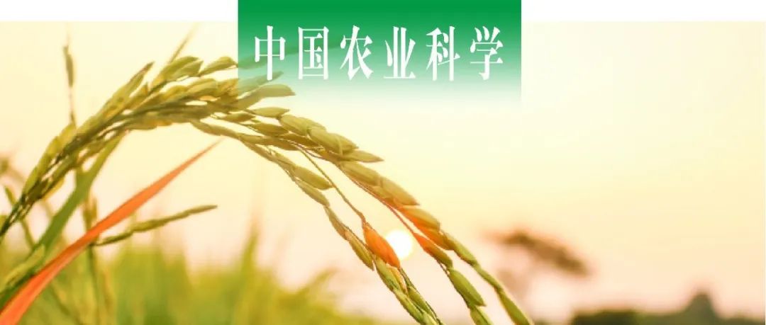 中国农业科学｜湖南科技大学彭佳师课题组探析OsLCT1启动子驱动OsNRAMP5表达对镉向水稻种子迁移的影响