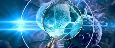 抗癌“新星”登上《科学》！有望抑制多种肿瘤生长、避免关键副作用