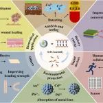 IF=20.3，武汉理工大学傅正义/程冬炳最新综述《Coordination Chemistry Reviews》