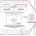 Biomaterials：具有成本效益和高性能的可电离脂质用于构建mRNA-脂质纳米颗粒疫苗