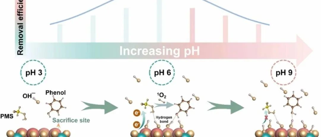 文献速递|重庆大学ACB:Fe(III) 缓解了铁基双金属/PMS 系统对有机污染物氧化过程中 pH 值的依赖性