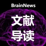 Nat Commun：大脑如何放下执念？纹状体乙酰胆碱揭示记忆消退的神经秘密