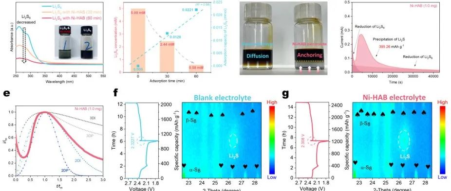 南京理工大学付永胜教授、朱俊武教授Angew：双向离子动力学调节器抑制锂枝晶以实现先进锂硫电池