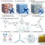 西湖大学王盼课题组 Joule：兼具微相分离及微孔的双离子通道聚合物膜