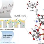同济大学张伟贤、邓子龙团队CEJ：高通量和强氧化的铁基MOFs与纳米纤维素复合催化膜对四溴双酚A的协同氧化-过滤性能及机制研究
