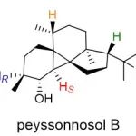 【Angew. Chem.】红藻二萜Peyssonnosol在细菌中的生物合成