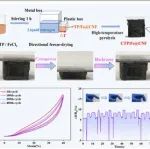 苏州大学《Langmuir》：茶多酚改性纳米纤维素碳气凝胶，用于柔性传感器应用