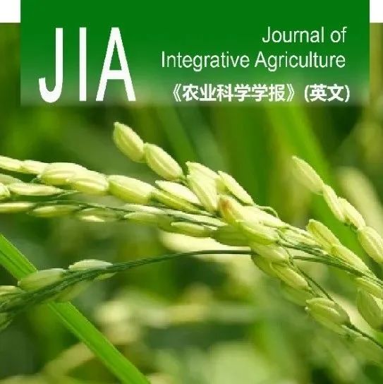 JIA | 2023—2025年「水稻遗传育种」论文合集