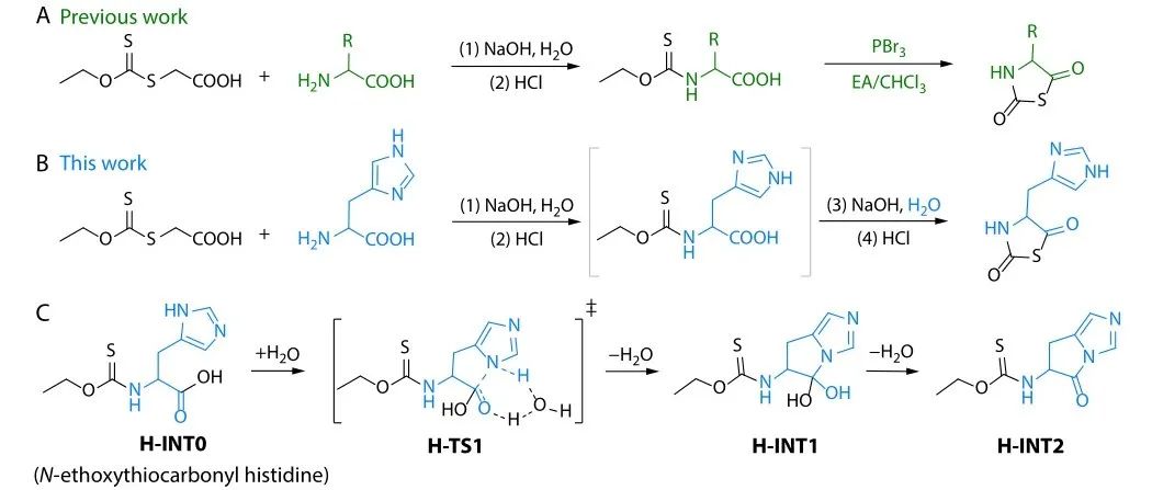 浙江大学凌君教授课题组研究论文：组氨酸-N-硫代羧酸酐的无保护合成与可控聚合得到结构明确的聚组氨酸