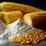 《食品科学》：沈阳师范大学肖志刚教授、王鹏副教授等：挤压处理协同多酚对玉米淀粉理化性质与结构特性的影响