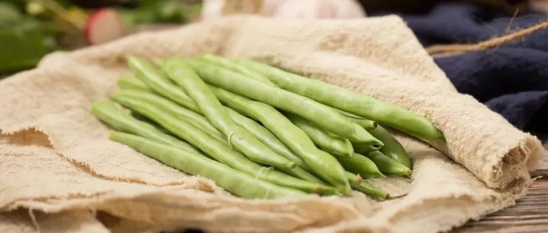 《食品科学》：江南大学谢云飞教授等：应用拉曼光谱技术无损快速检测四季豆新鲜度