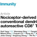专家点评Immunity | 王宏林团队通过“临床-基础-临床”研究环路揭示白癜风神经免疫新机制和治疗新策略