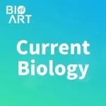 Current Biology&#160;| 钟毅/李乾团队发现短期记忆通过“搬家”来遗忘