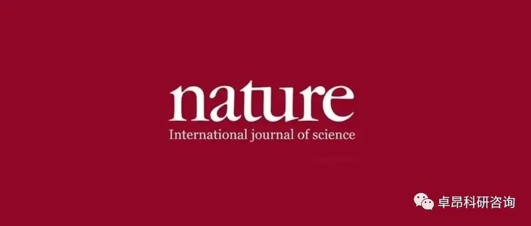 轰动全球！国内“ 天才少年 ”独自发Nature！在材料科学领域一战封神！预定今年诺奖！