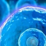 《自然》：每年“杀死”超过10万人，破译“超级细菌”高度耐药分子密码终于找到了