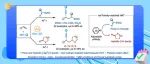 【JACS】华中师大张国柱/郭瑞研究团队：光诱导铜催化自由基极性匹配促进的烯烃对映选择性烷基炔基化反应