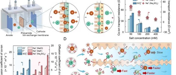 同济大学王志伟团队联合美国莱斯大学Elimelech院士发表Science Advances：解析聚酰胺膜的离子选择性分离机制